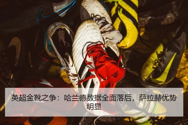 ying-chao-jin-xue-zhi-zheng-ha-lan-de-shu-ju-quan-mian-luo-hou-sa-la-he-you-shi-ming-xian-3-981.jpg