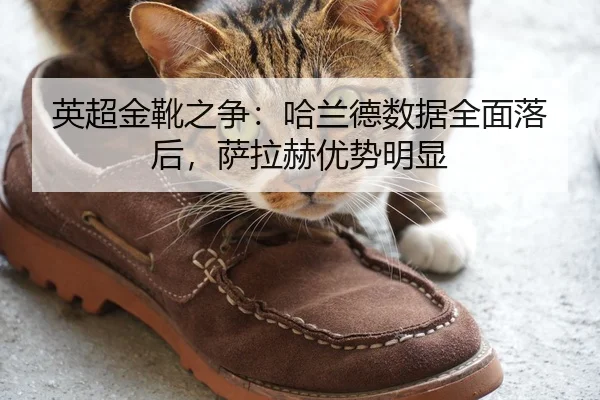 英超金靴之争：哈兰德数据全面落后，萨拉赫优势明显
